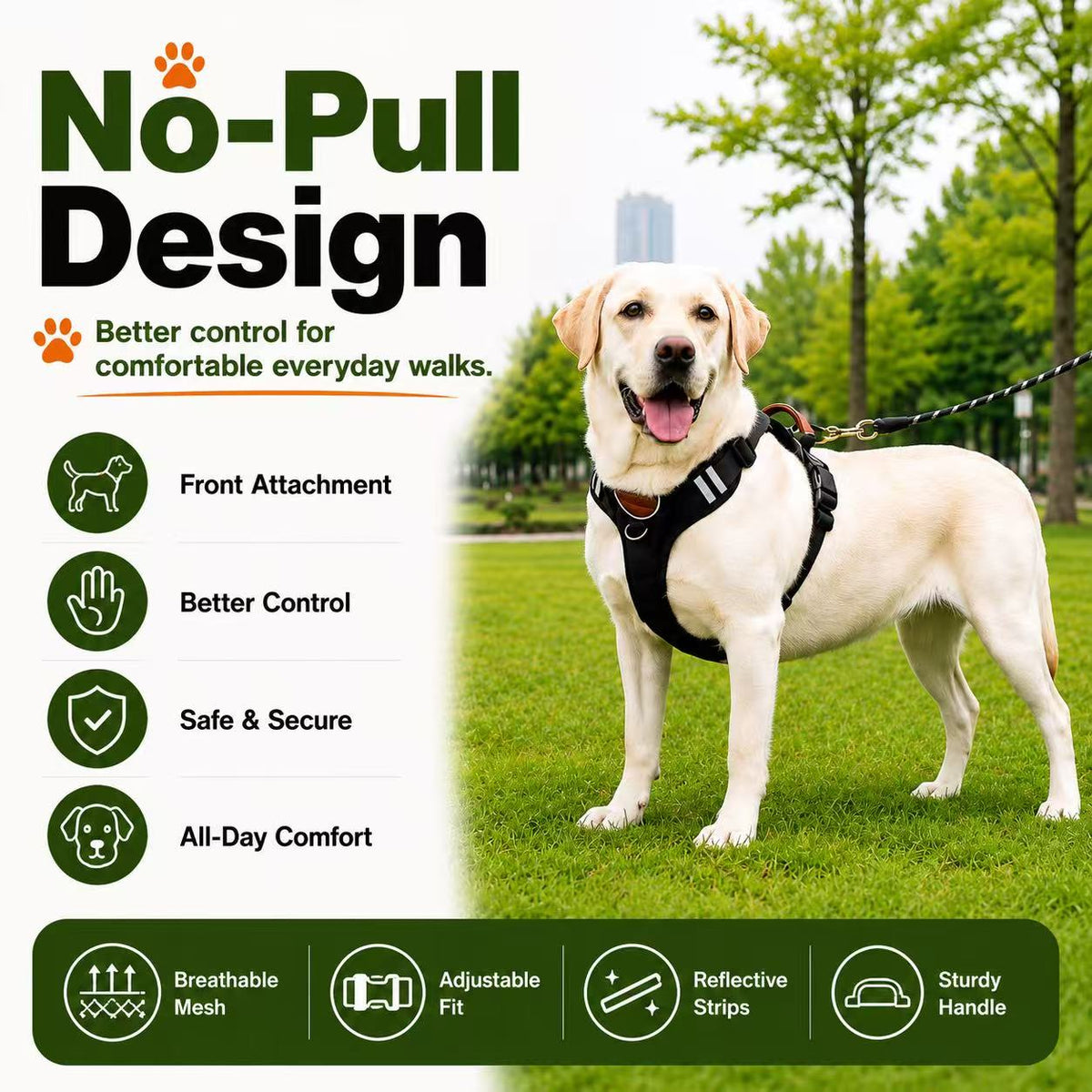 No-pull dog harness with front clip, comfort and reflective strips features on a Labrador