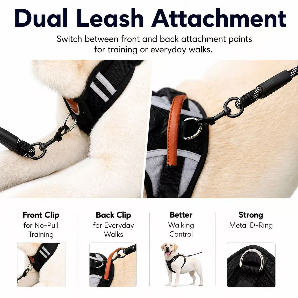 Dual leash attachment on dog harness: front clip for no-pull training and back D-ring for everyday walks