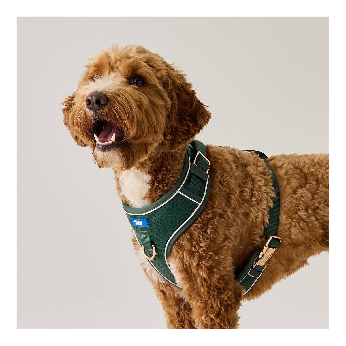 Moto Vegan Leather Dog Harness