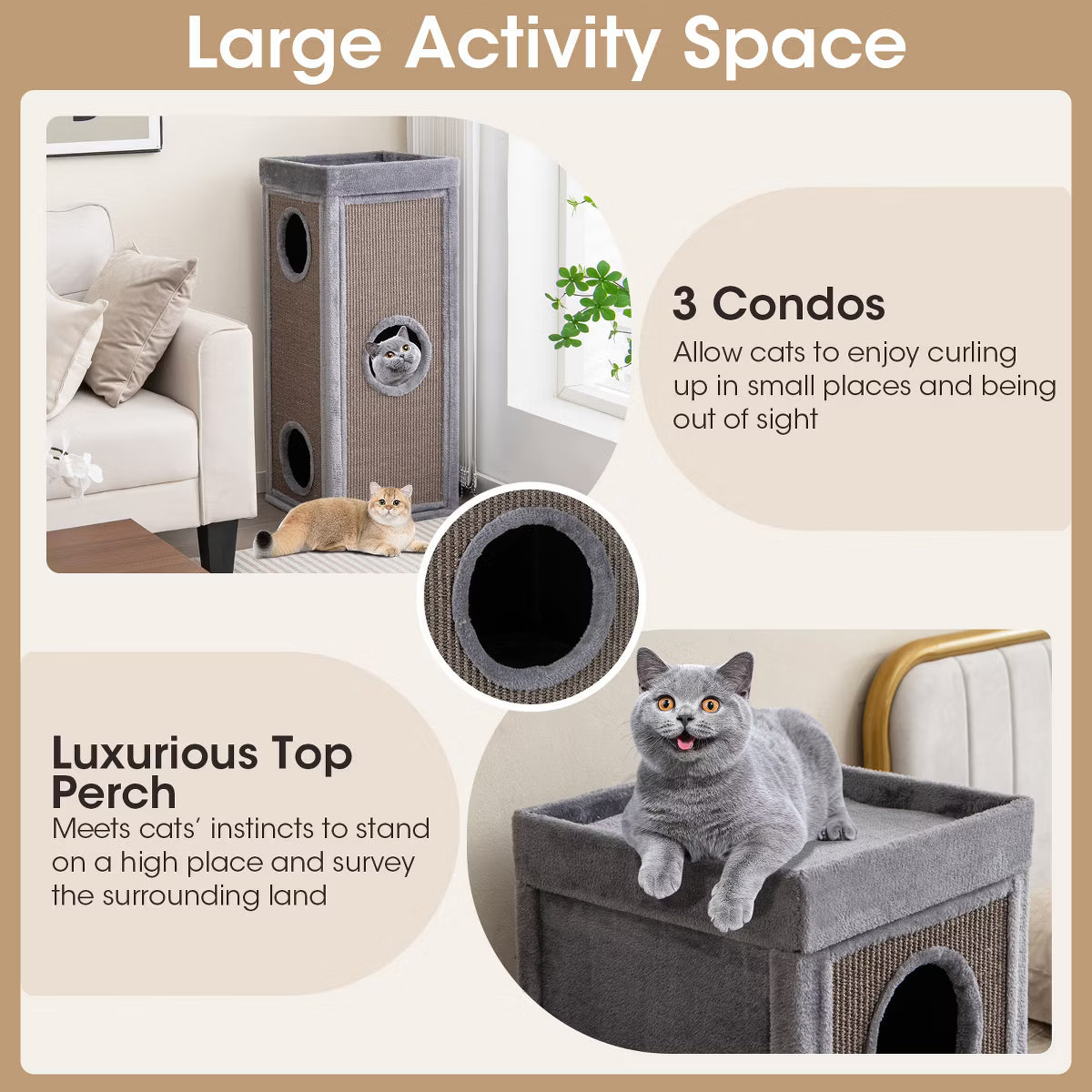 Cat Condo with Scratching Posts