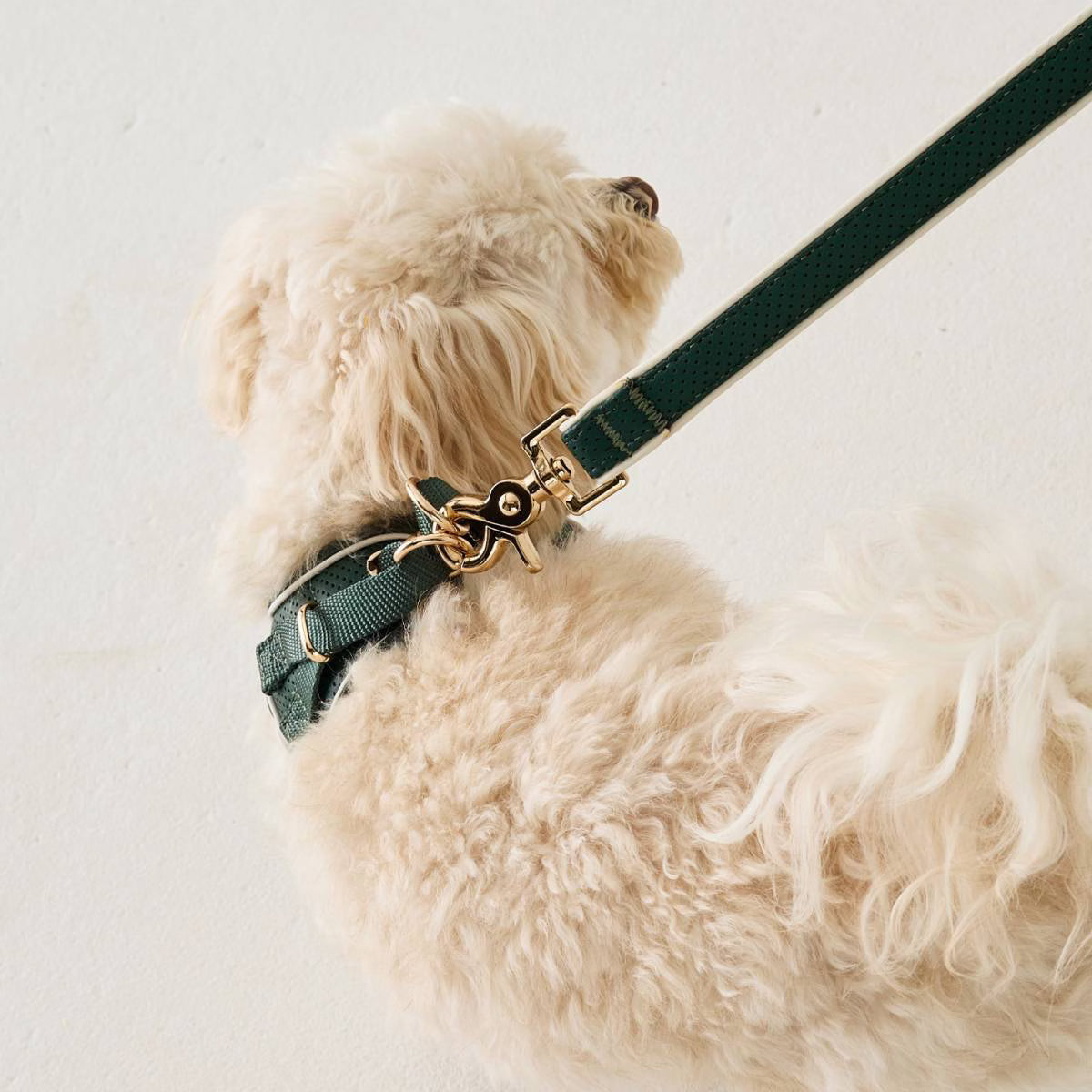 Moto Vegan Leather Dog Harness