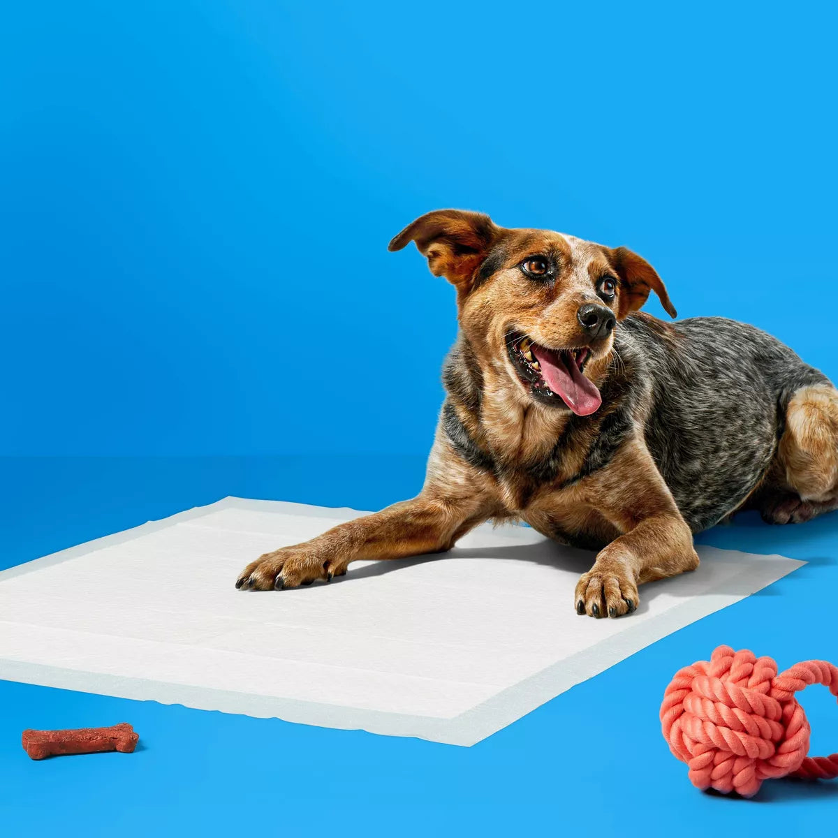 Clean Scent Dog Training Pads - L