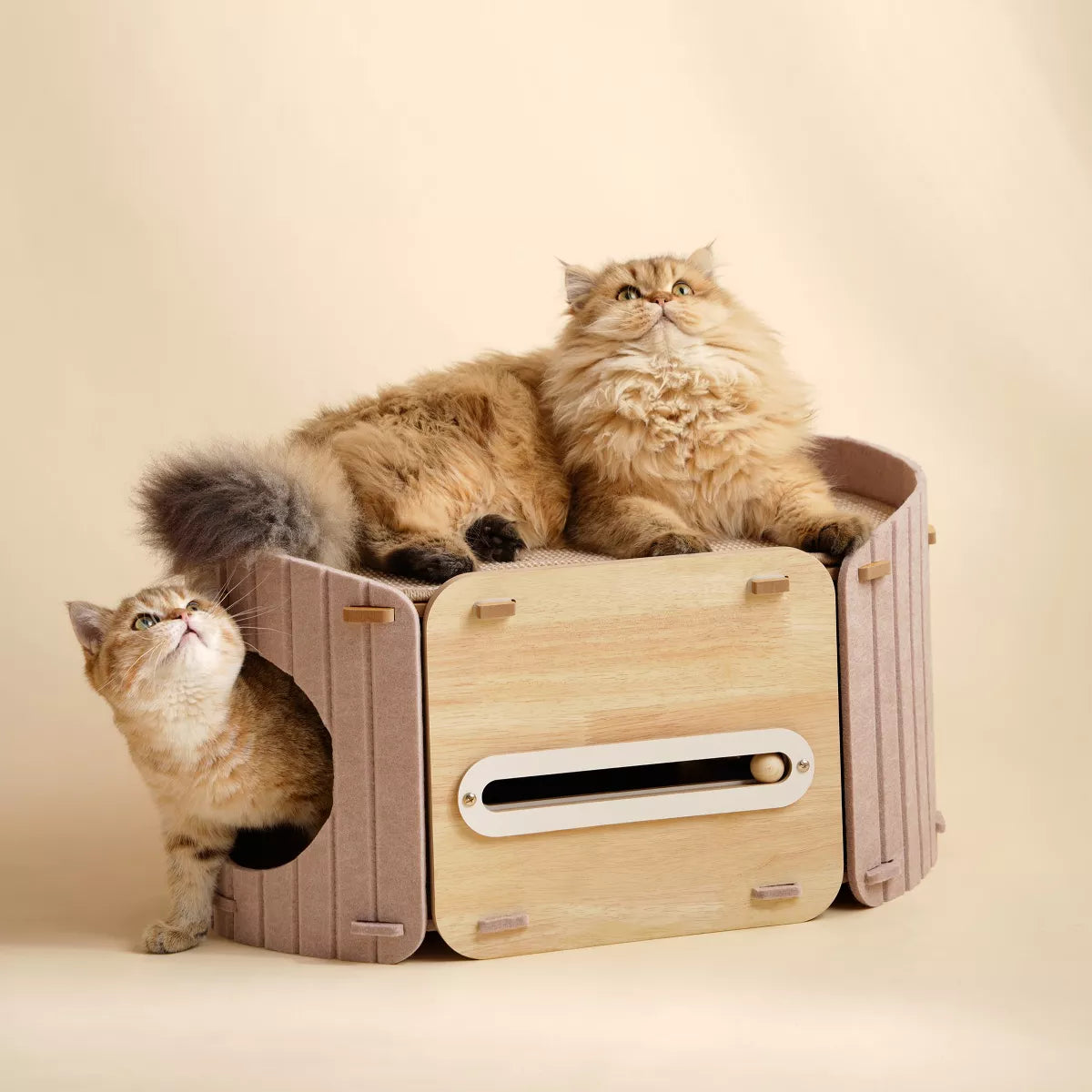 2-in-1 Modern Wooden Cat Condo Bed Beige