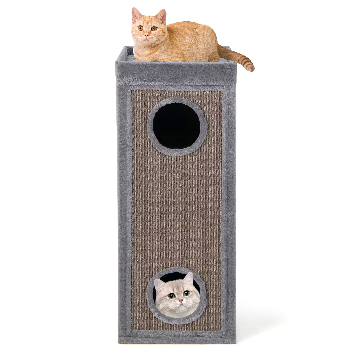 Cat Condo with Scratching Posts