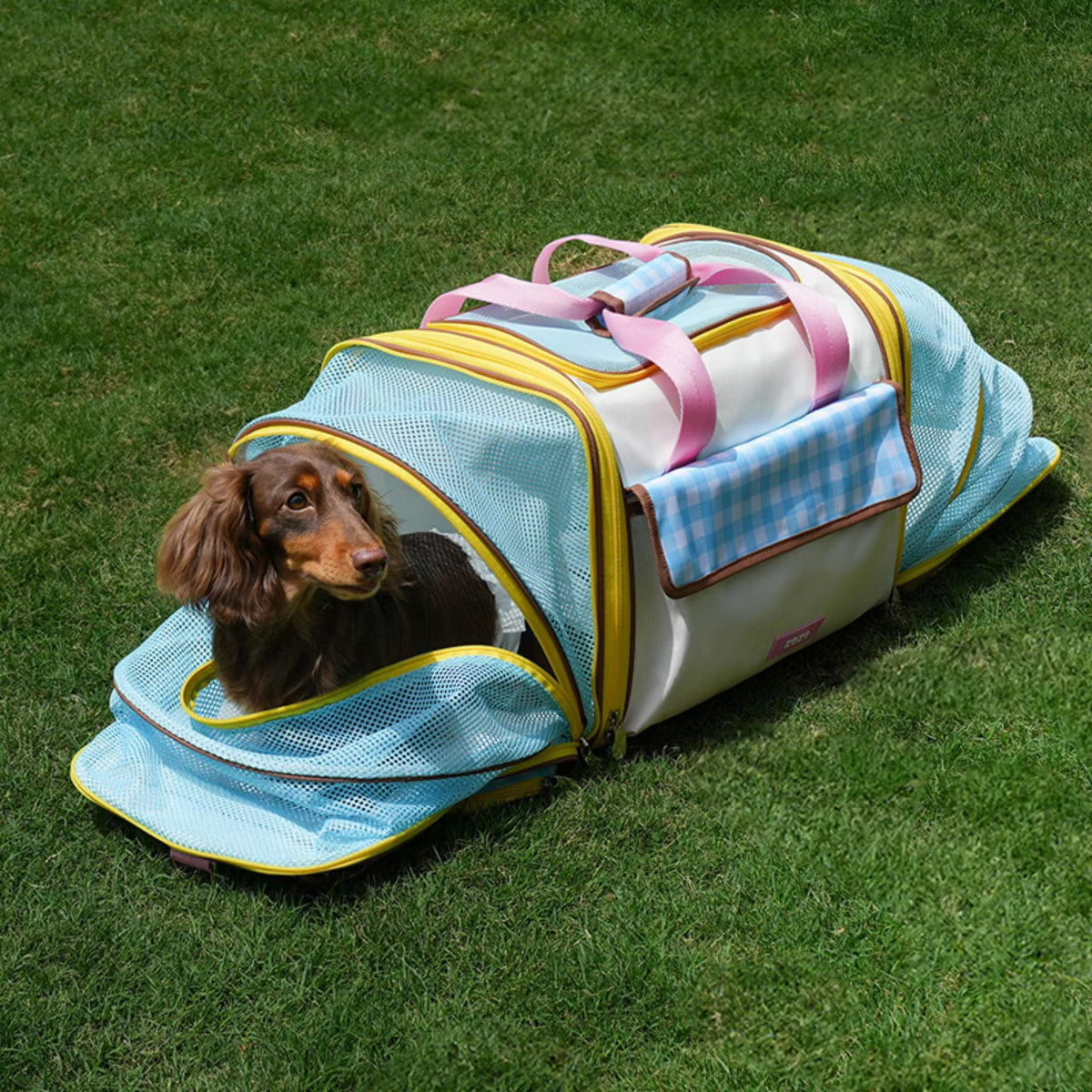 3-Panel Mesh Opening Nice Expandable Dog