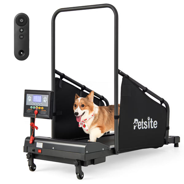 Dog Treadmill for Small/Medium Dogs Indoors Pet Running Training