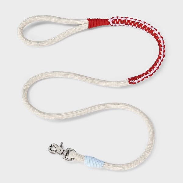 Fashion Dog Leash M/L - 5ft - Braided