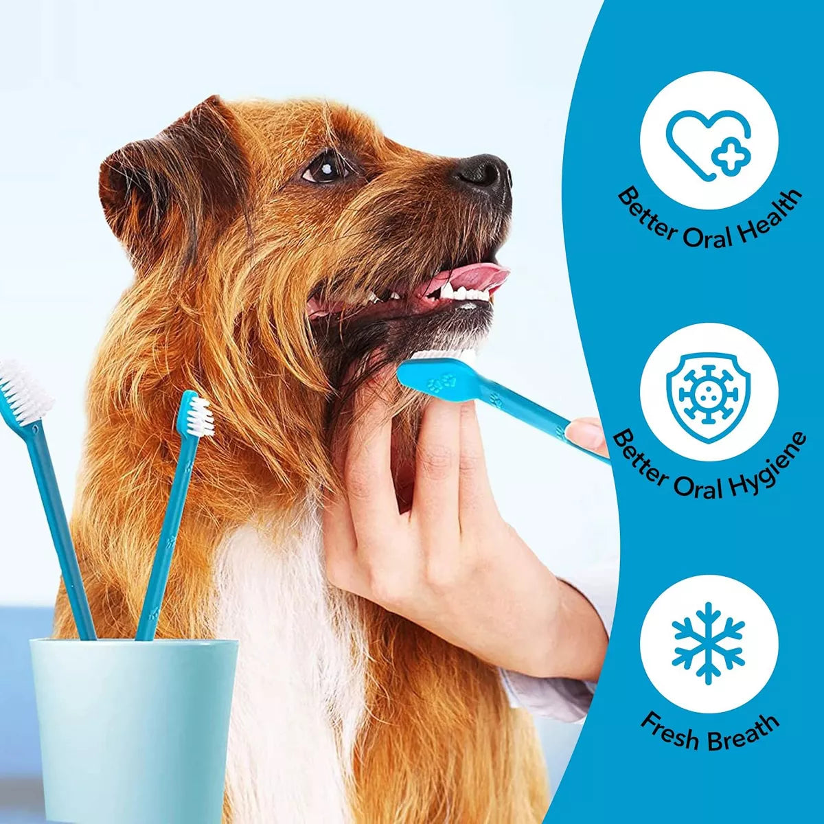 6 Dual-Headed Dog Tooth Brush + 2 Pet Finger Toothbrush for Small and Large Breeds, 8 Pack