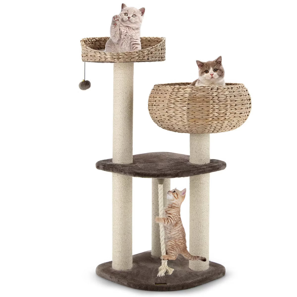 41'' Hand-Made Cat Tree Tower Natural Bowl Shaped w/ 2 Perch Coffee
