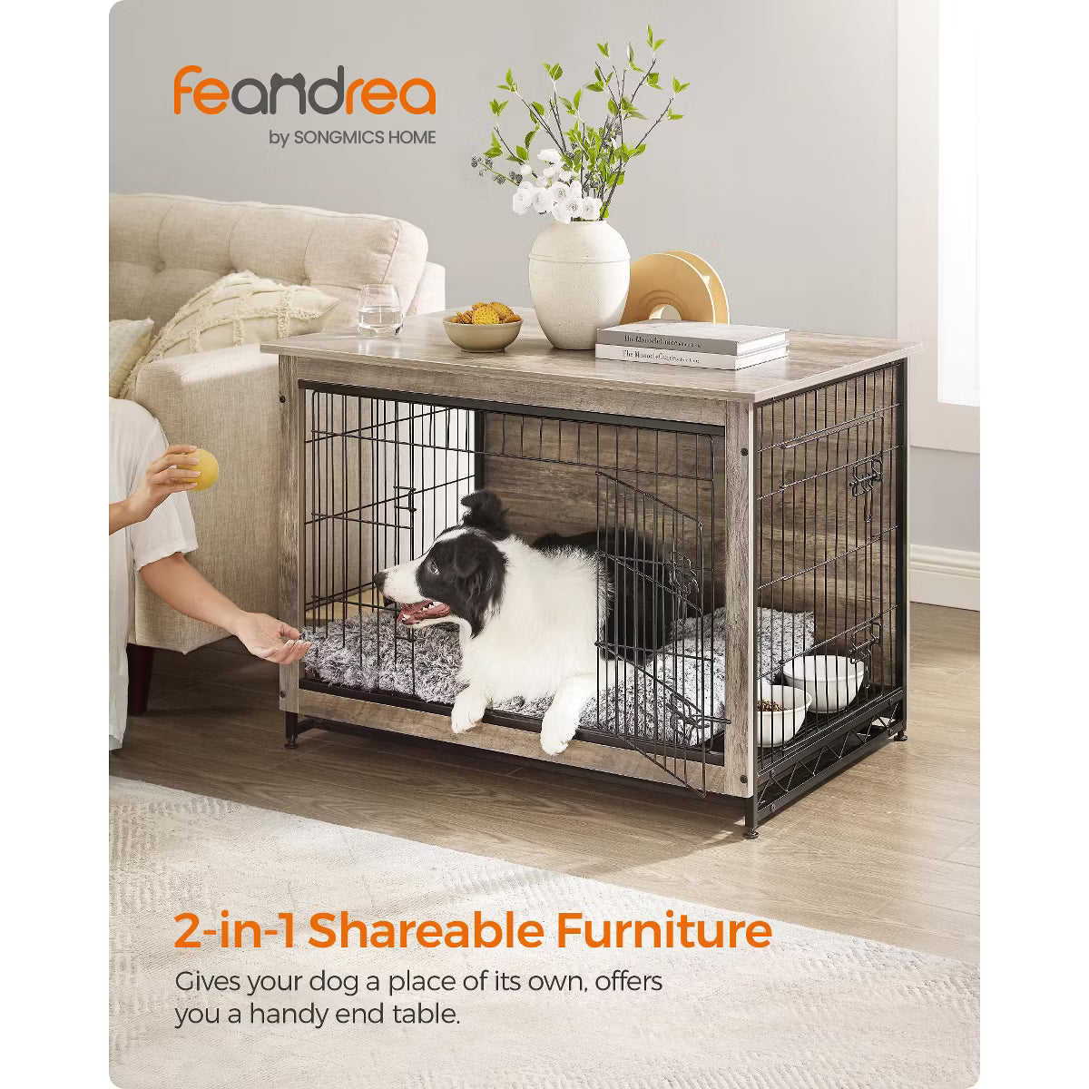 Modern Kennel for Dogs Indoor up to 70 lb