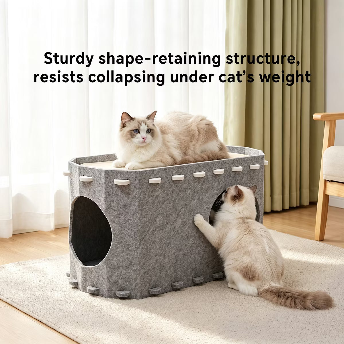 Cat House for Indoor Cats