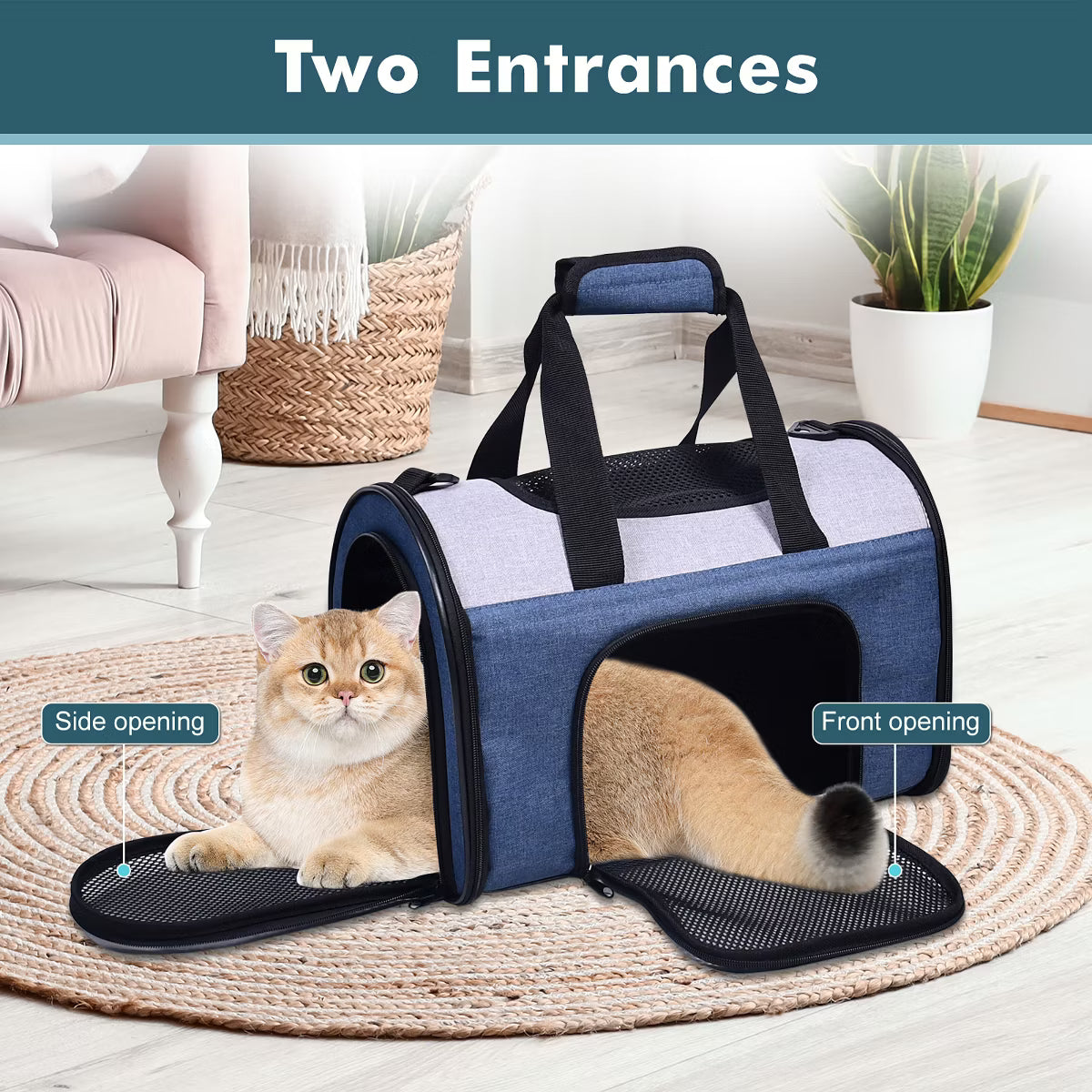 Kennel Pet Carrier for Small Dogs, Cats, Puppy