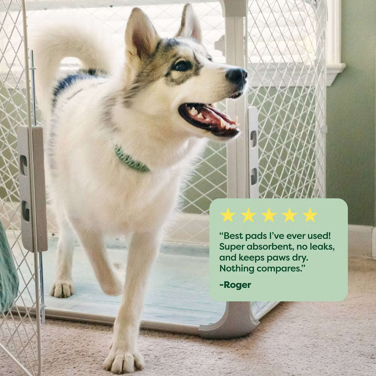 Disposable Odor Control Pet Training Pads - 30ct