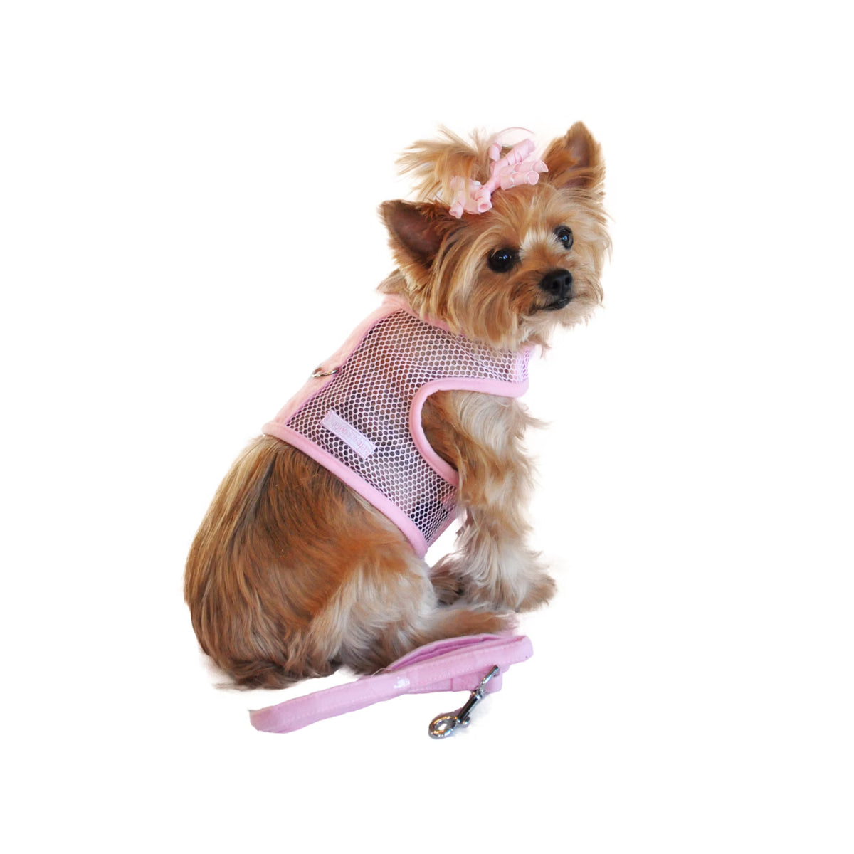ool Mesh Dog Netted Harness with Leash