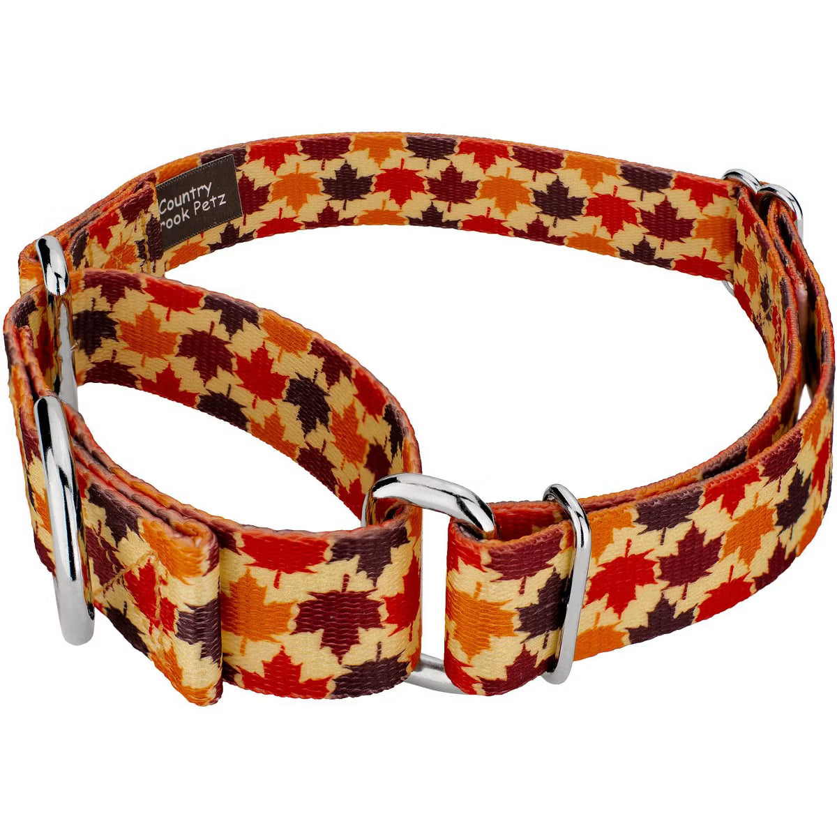 Nature Walk Martingale Dog Collar Limited Edition (1 Inch, Extra Large)