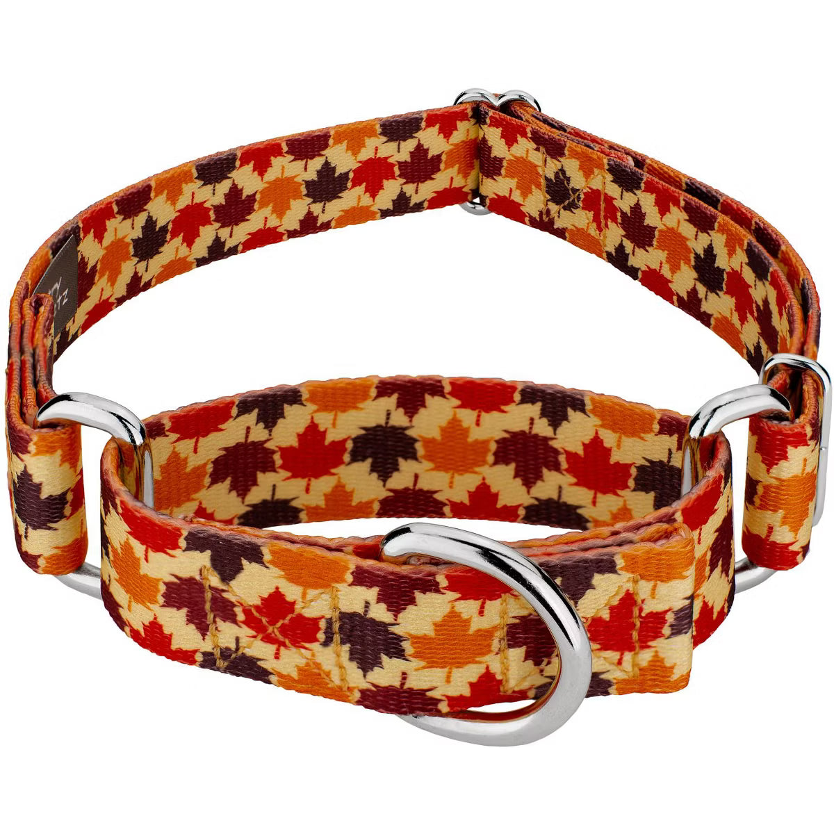 Nature Walk Martingale Dog Collar Limited Edition (1 Inch, Extra Large)