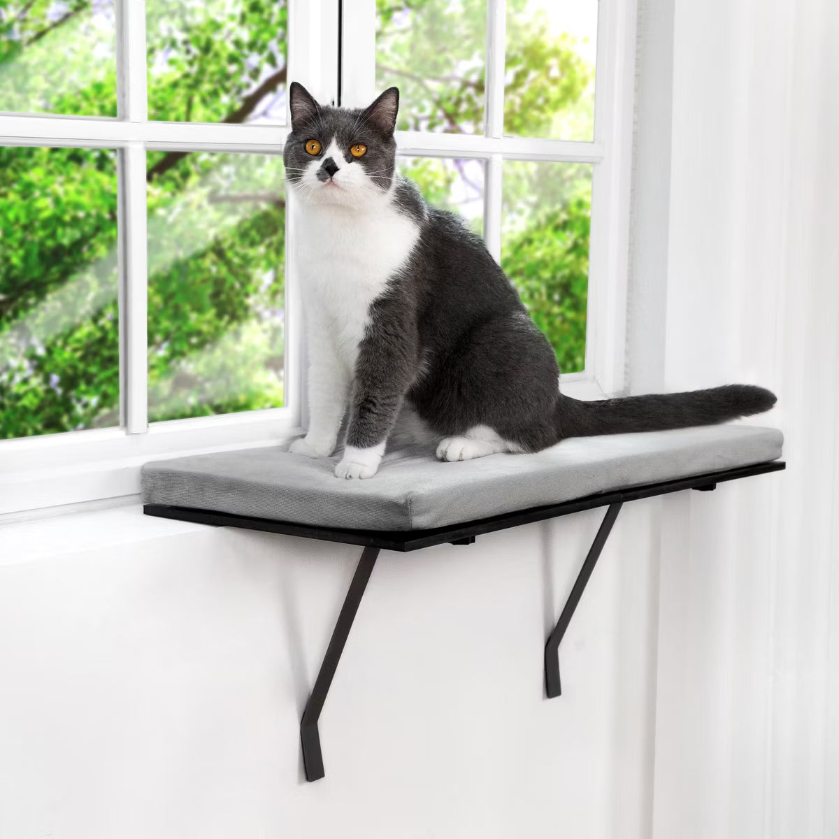 Cat Sill Window Perch Hammock Seat