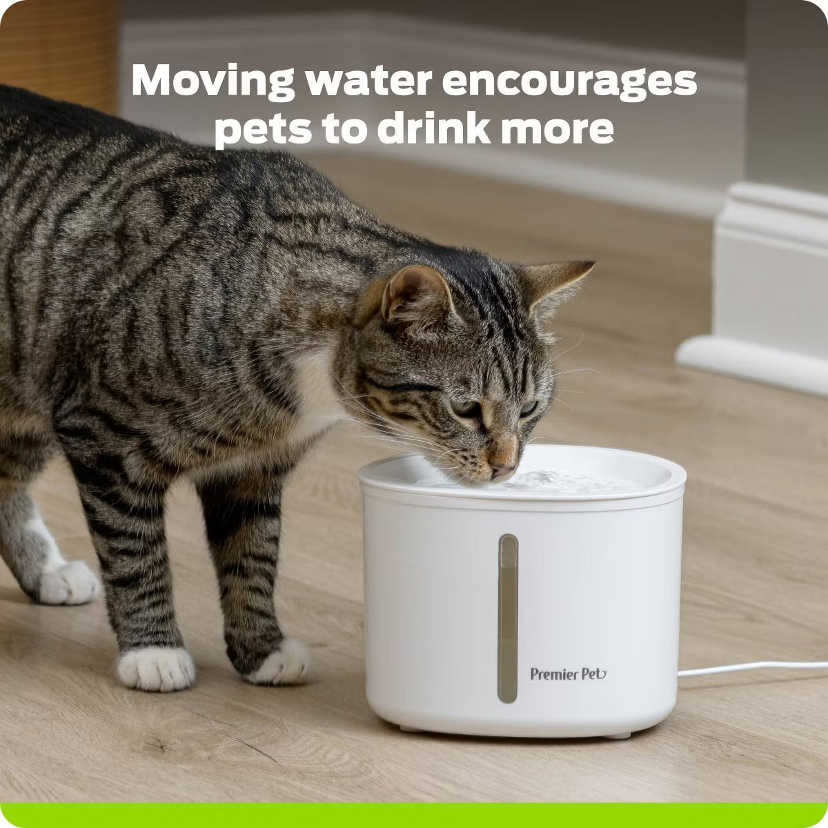 54oz Dog and Cat Automated Fountain - White