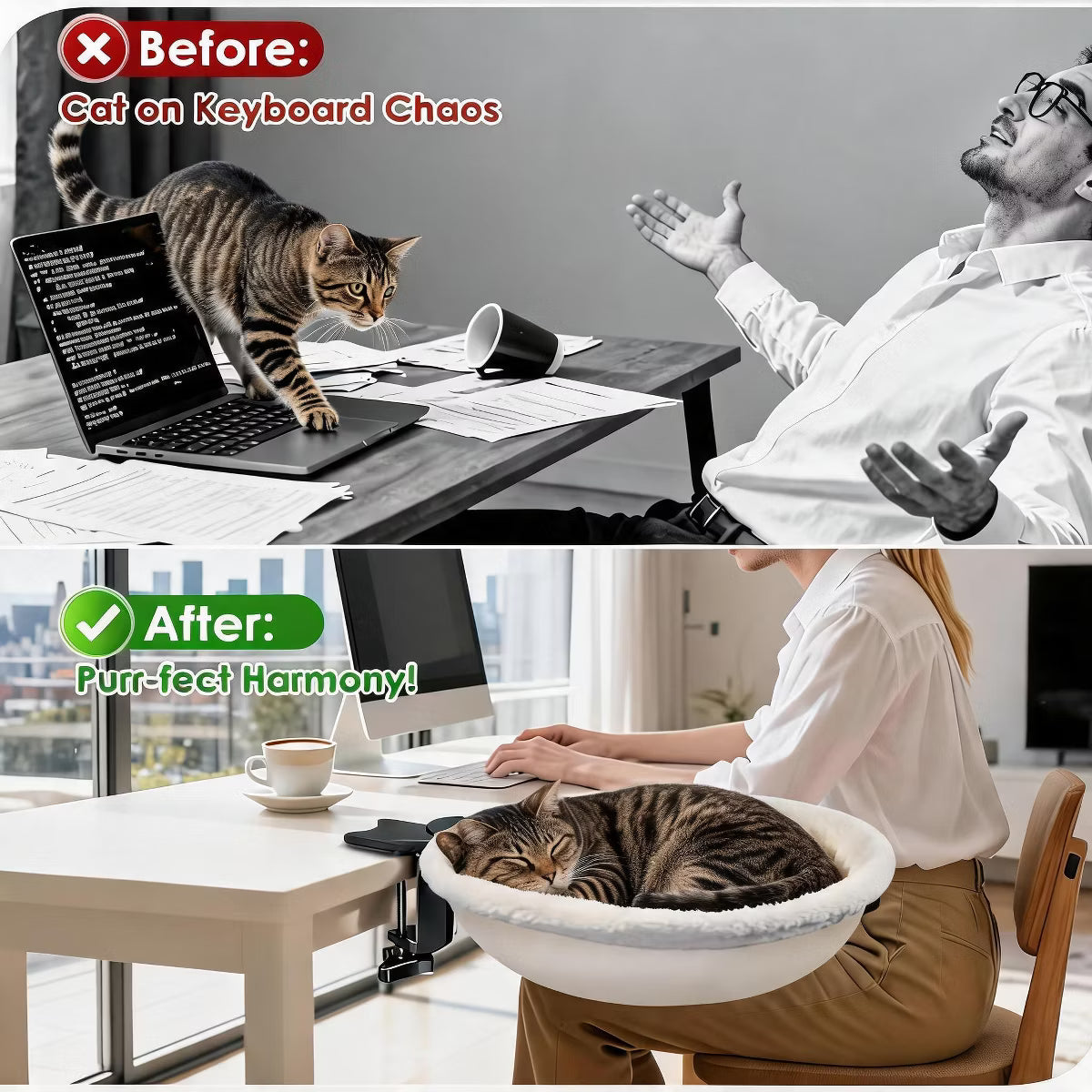 Round Rotating Cat Bed & Cat Table Bed