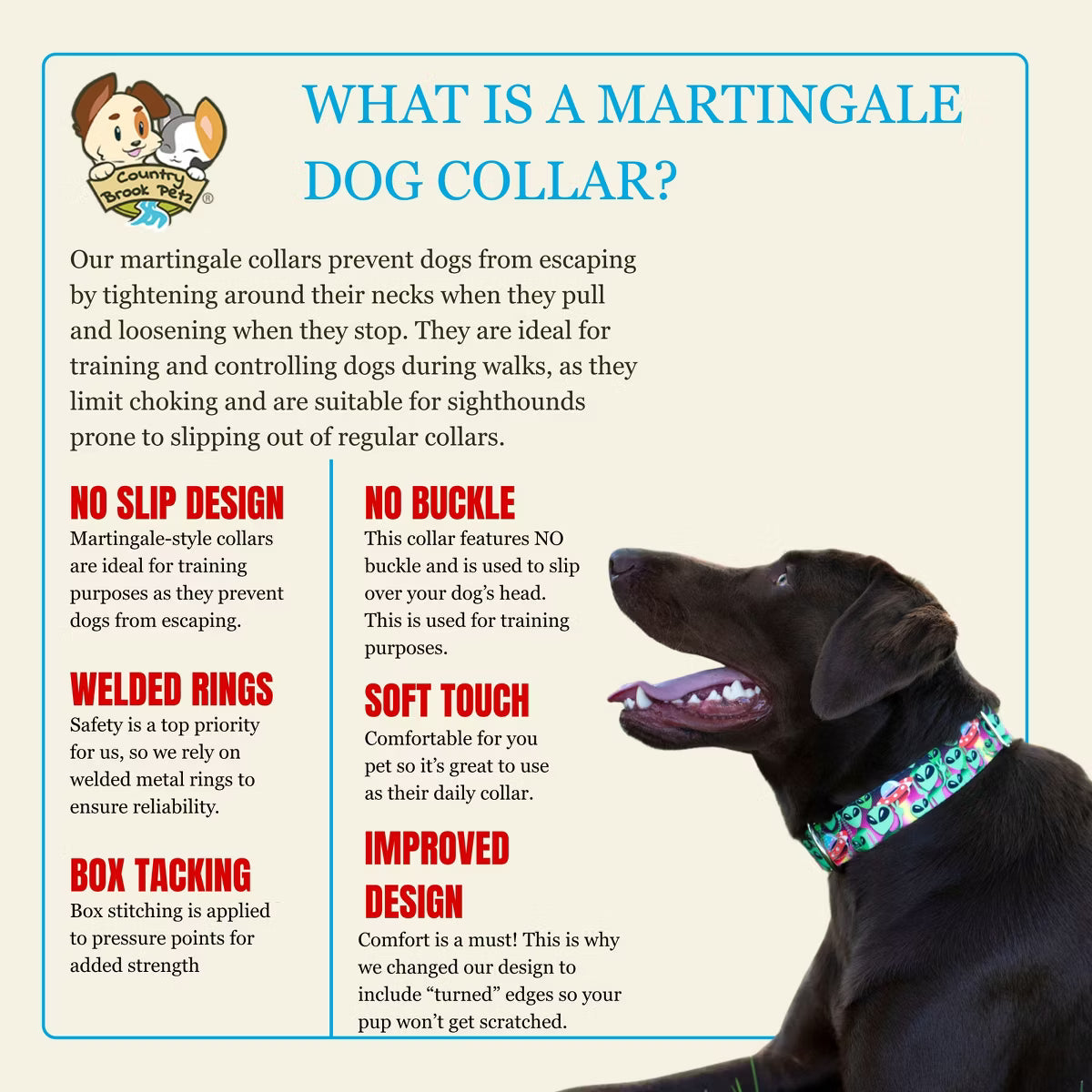 HossFit Jr Wide Martingale Dog Collar (Heavenly Space, Medium)