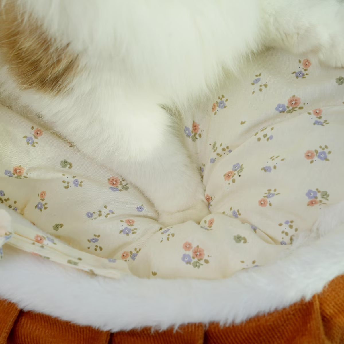 French-Style Rocking Cat Bed - Wooden Stand & Canopy