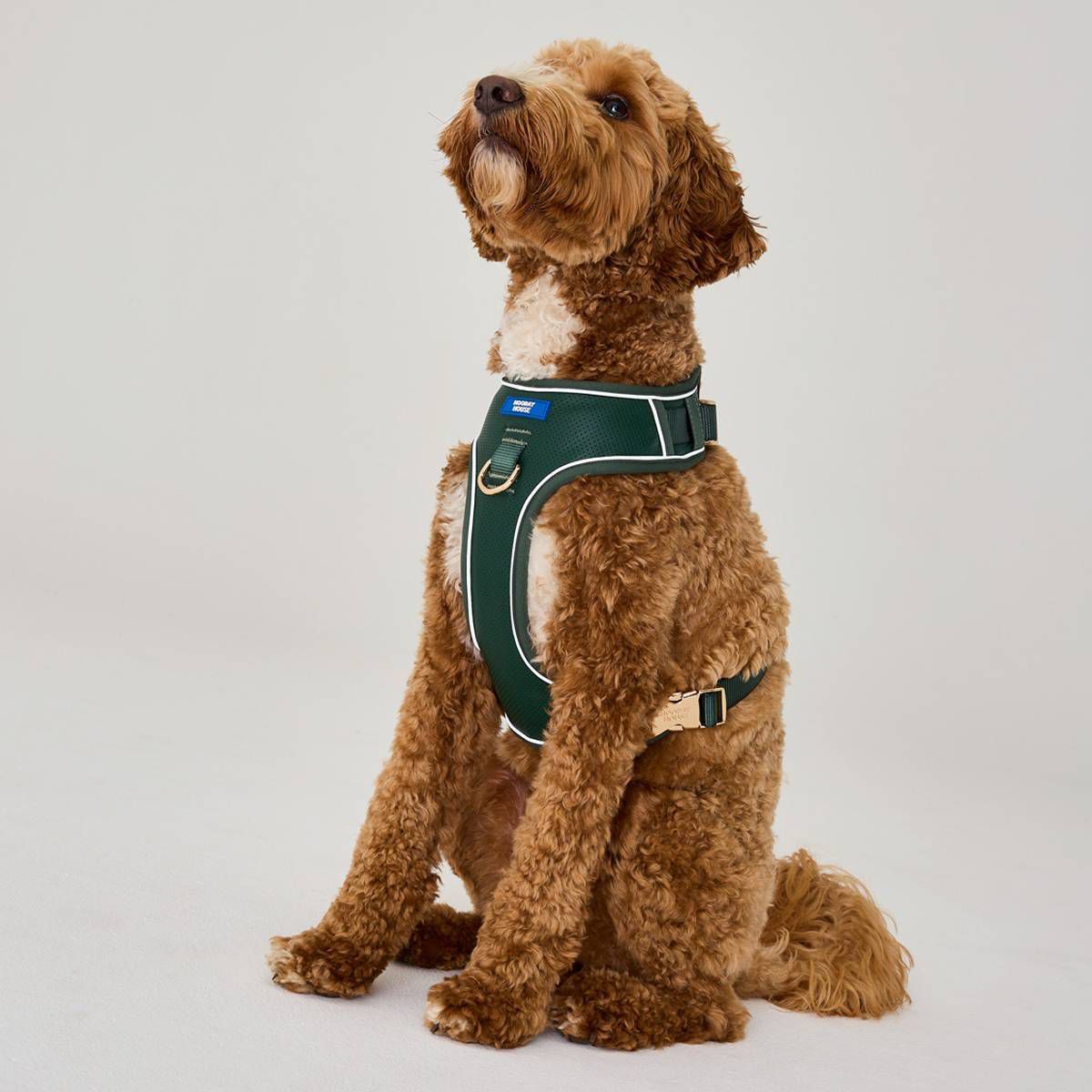 Moto Vegan Leather Dog Harness