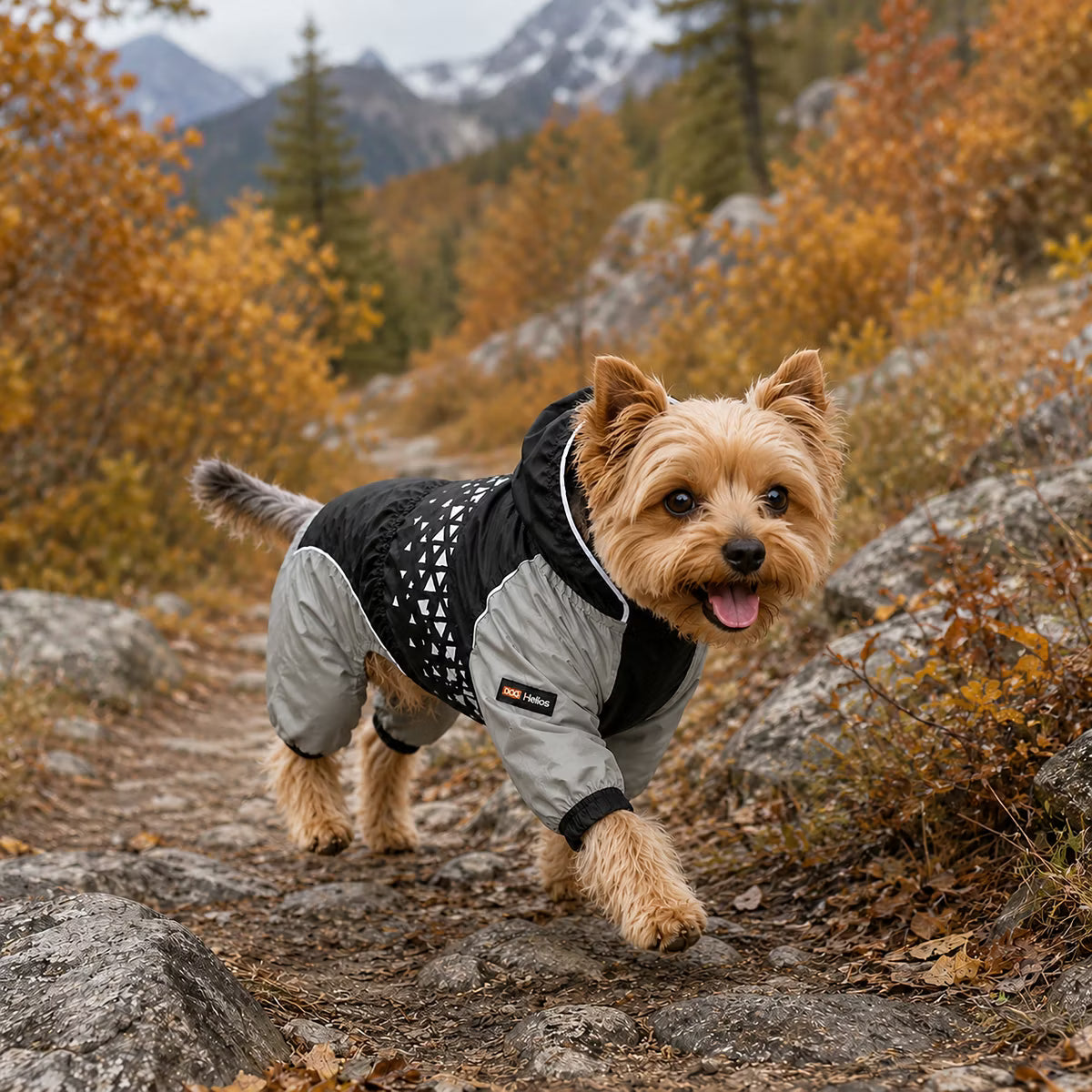 Vortex Full Bodied Waterproof Windbreaker Dog Jacket