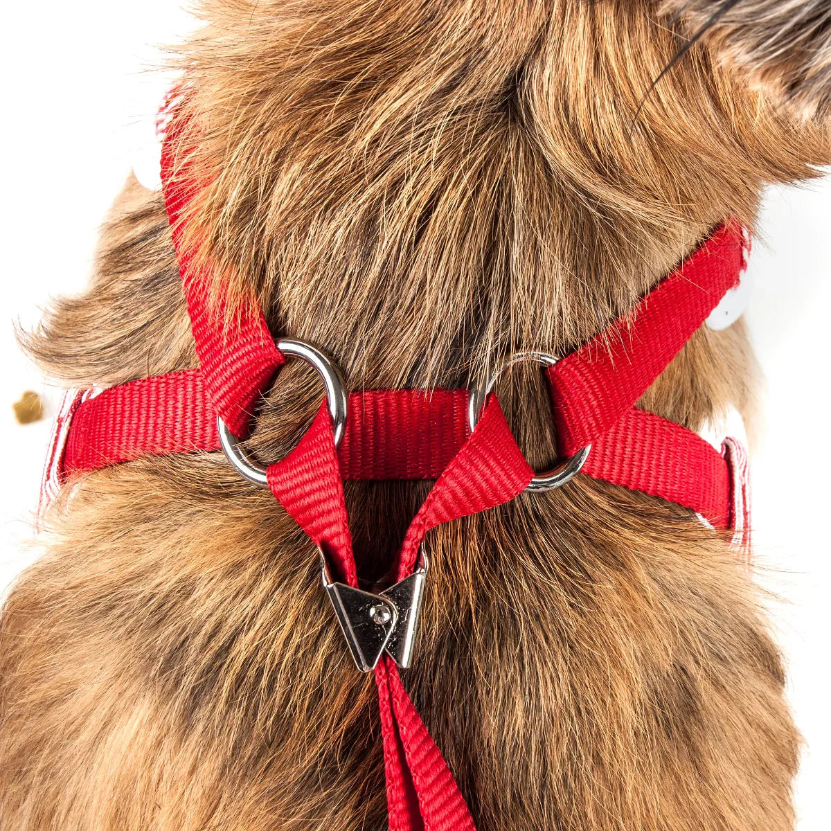 Luxe Spawling 2-In-1 Adjustable Fashion Dog Harness and Leash,