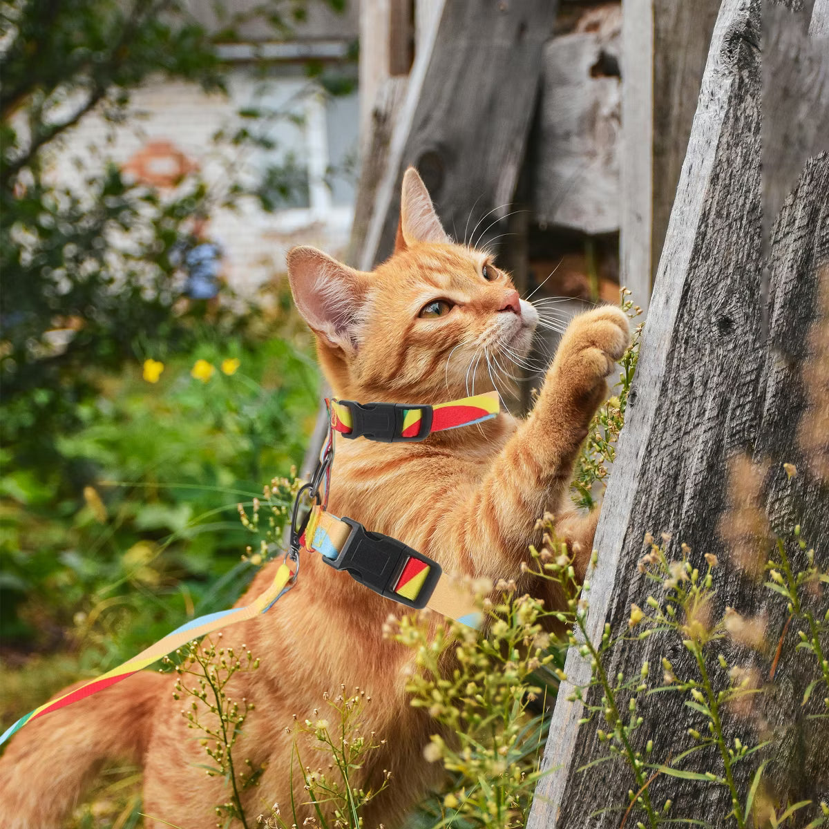 Escape Proof Lightweight Cat Harness