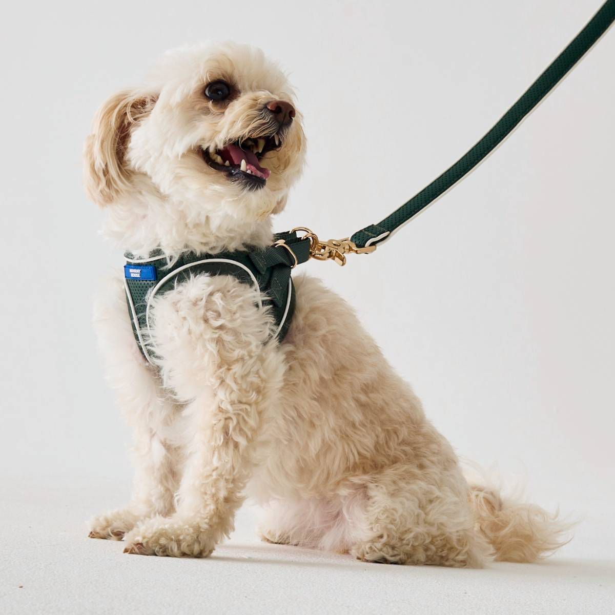 Moto Vegan Leather Dog Harness