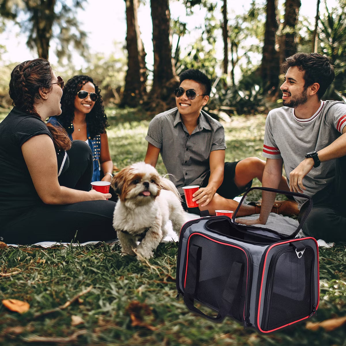 Soft Sided Travel Small Dog & Cat Carrier Bag
