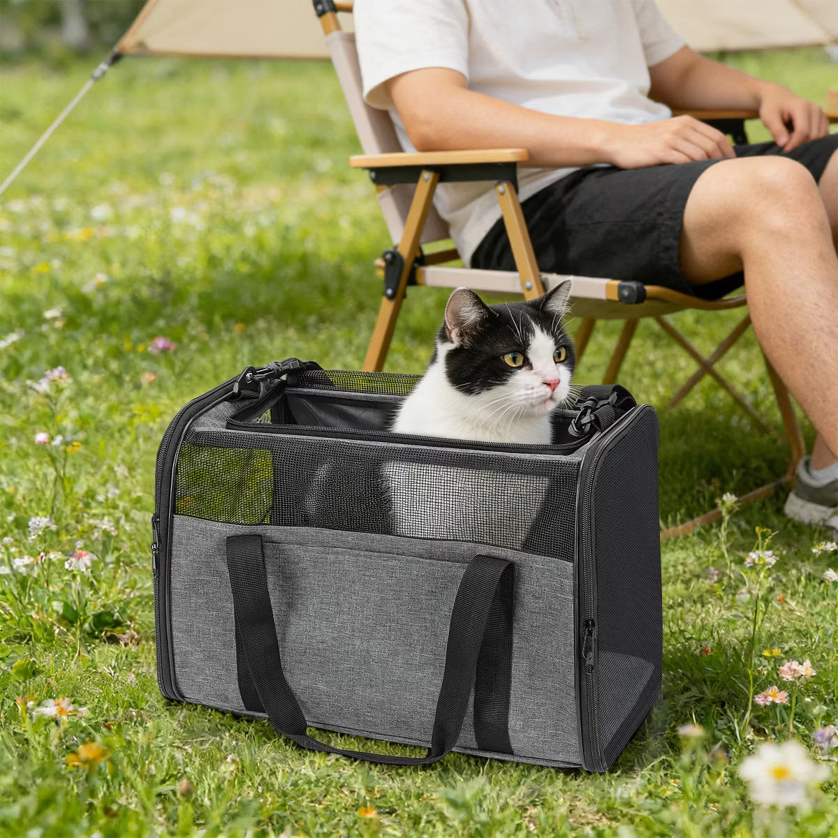 Cat Carriers Dog Carrier for Small / Medium Cats Dogs Puppies