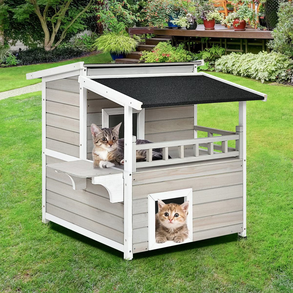 Luxurious Cat Shelter House Condo