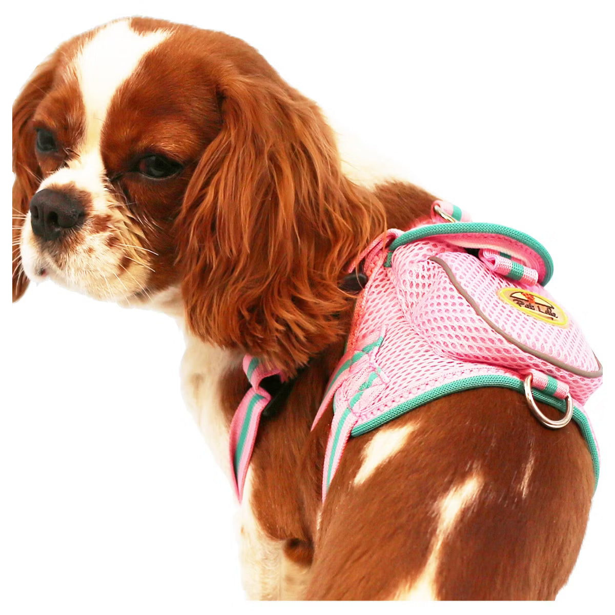 Pocket Bark Reflective Adjustable Fashion Pet Dog Harness with Velcro Pouch and Dual Harness Rings
