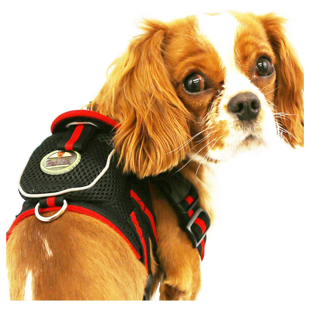 Pocket Bark Reflective Adjustable Fashion Pet Dog Harness with Velcro Pouch and Dual Harness Rings