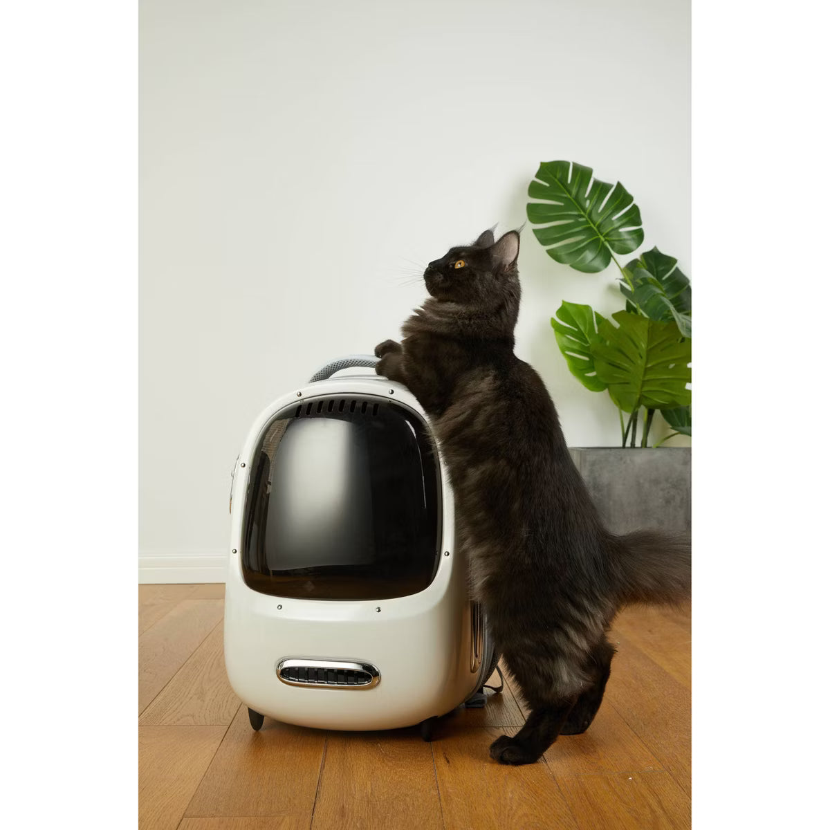 Small Breezy Dome Dog and Cat Backpack Carrier with Inbuilt Fan & Light