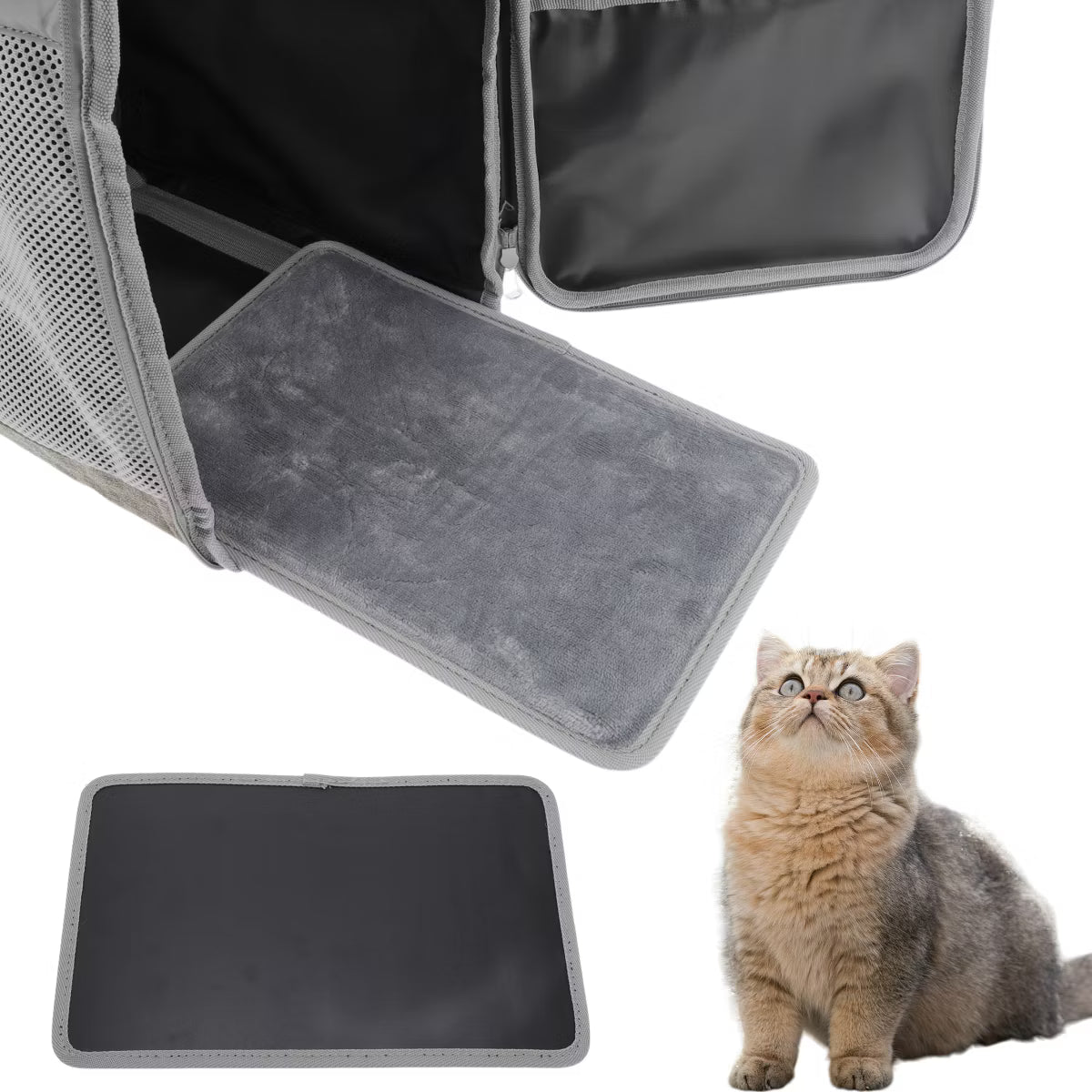 Backpack Transport Box for Cats and Small Dogs