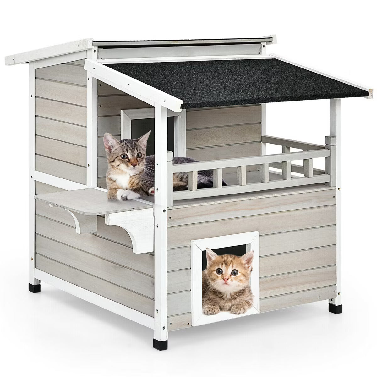 Luxurious Cat Shelter House Condo
