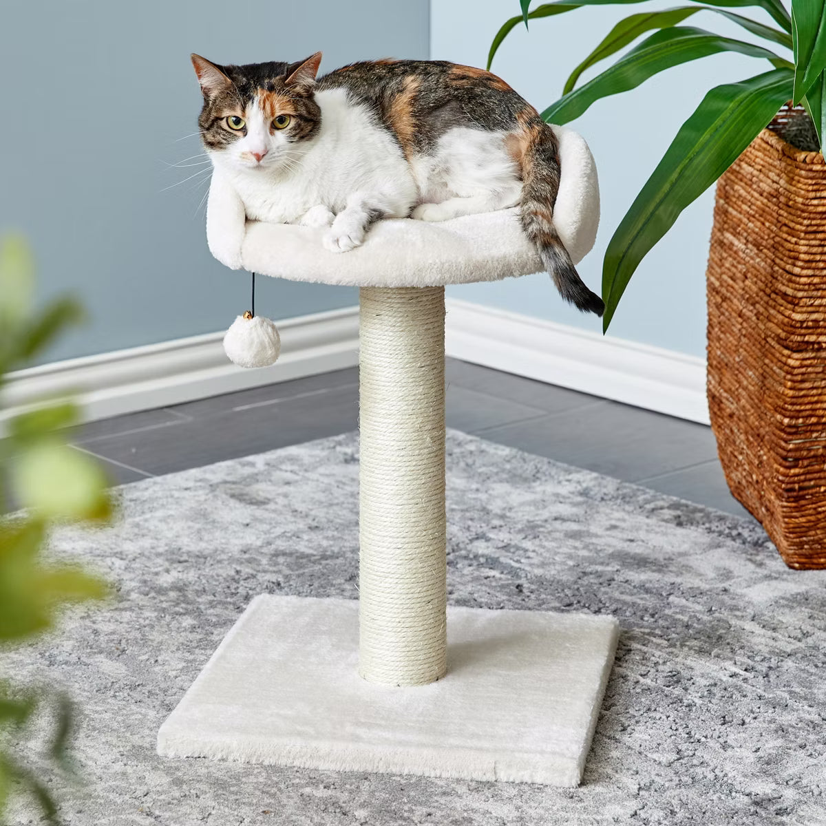 Off-White Scratching Post Cat Furniture - 20.5 in. Tall