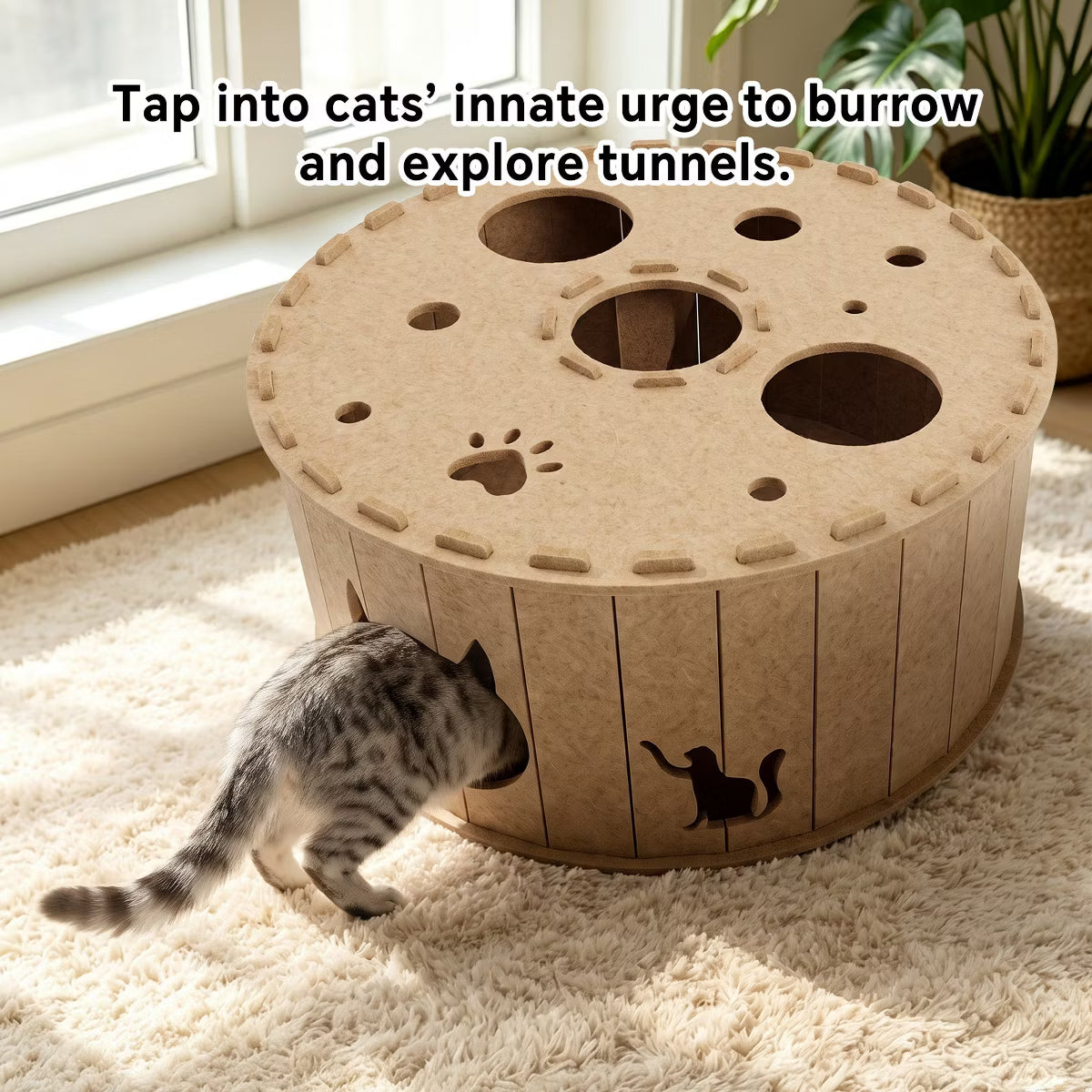 Kitty Cave Tunnel House with Scratching Surface