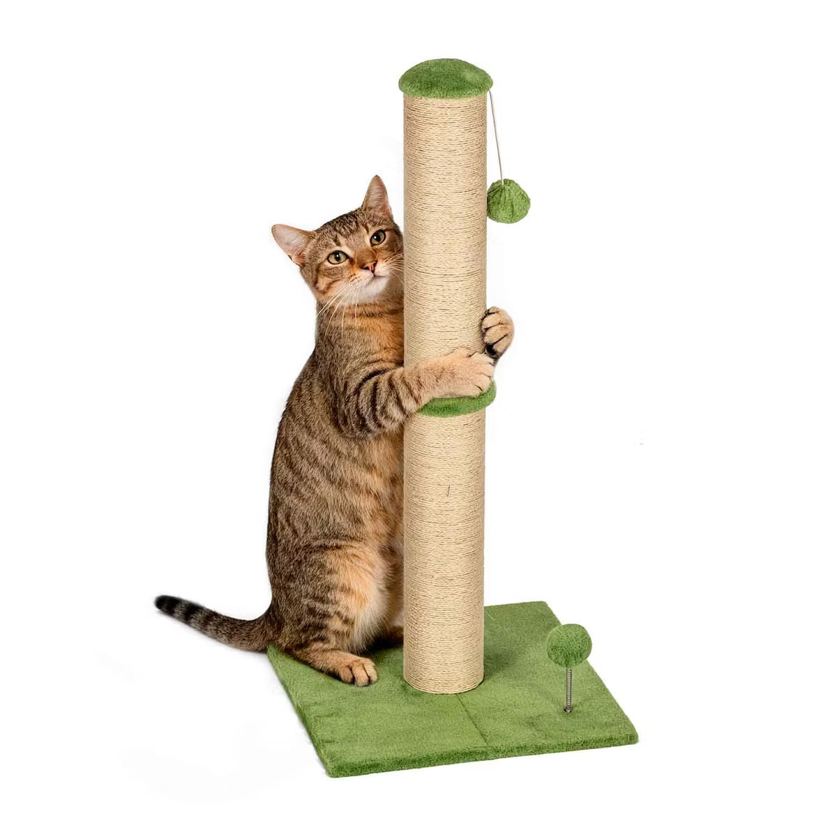 33 Inch Cat Scratching Post Cat
