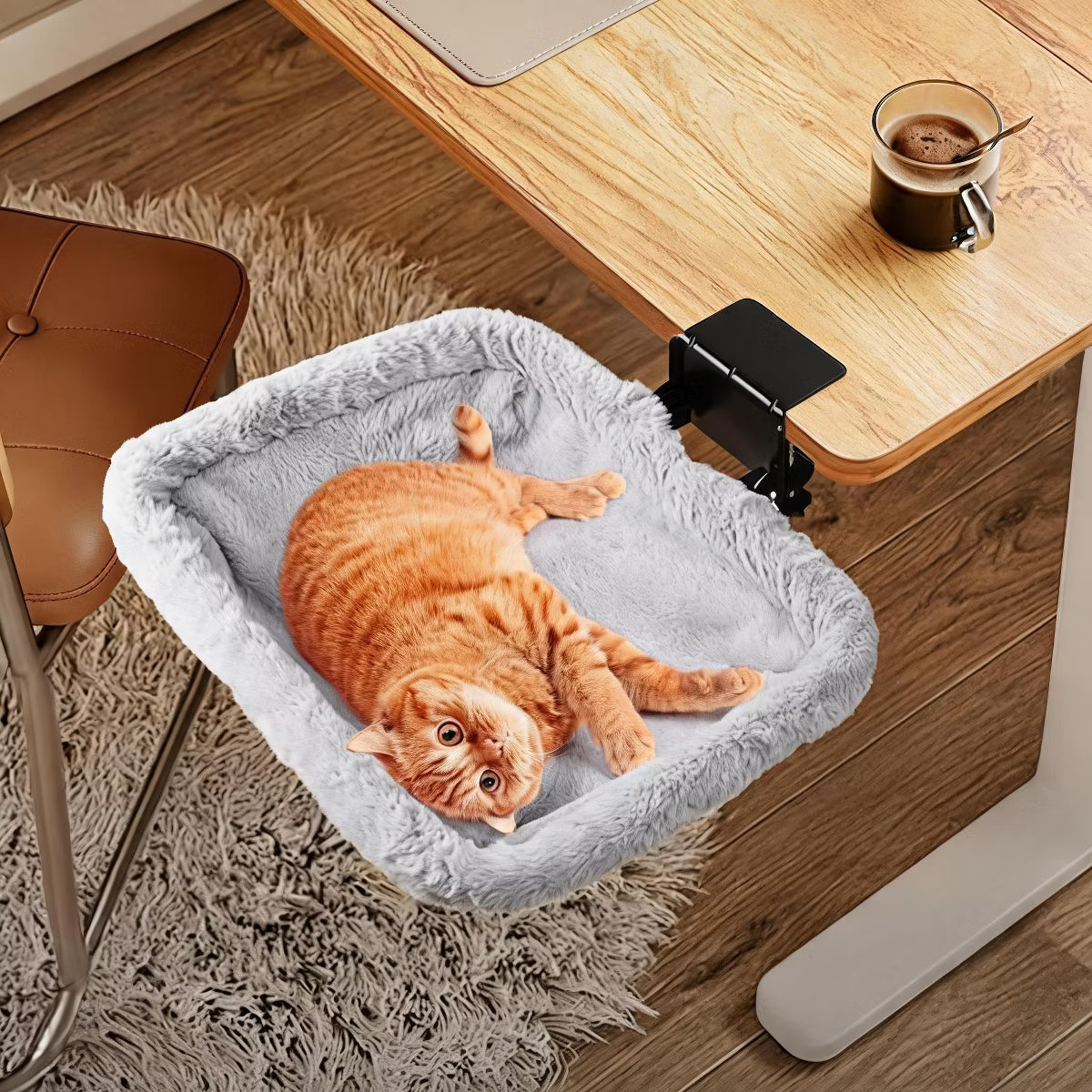 Fold-Down Cat Desk Bed