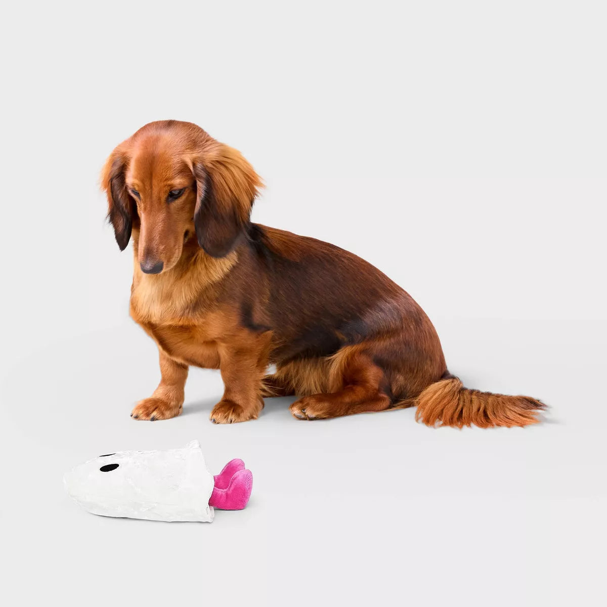 Ghost Plush Dog Toy