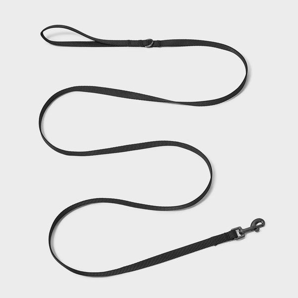 Basic Dog Leash Webbing XXS - 72"