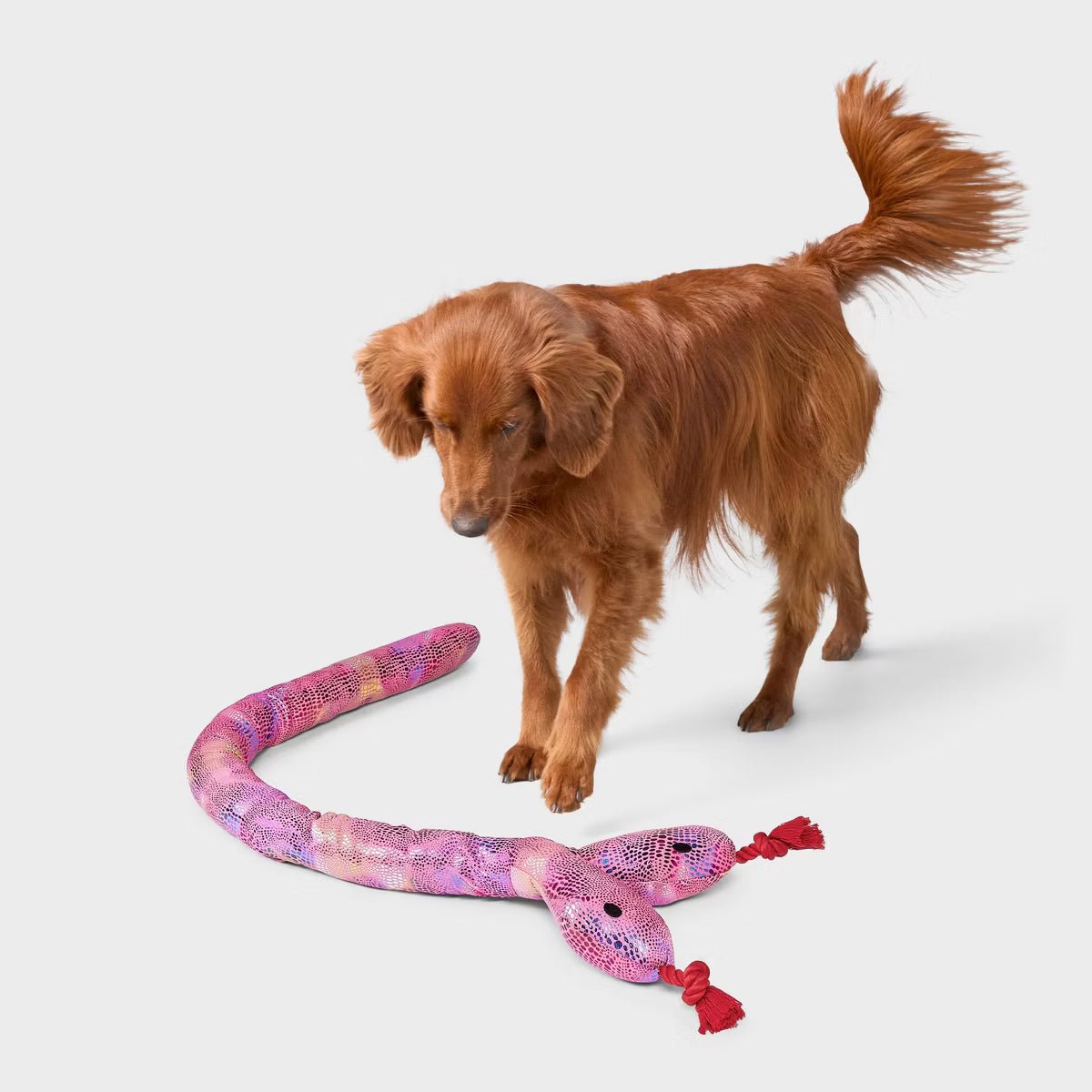 Snake Jumbo Plush Dog Toy