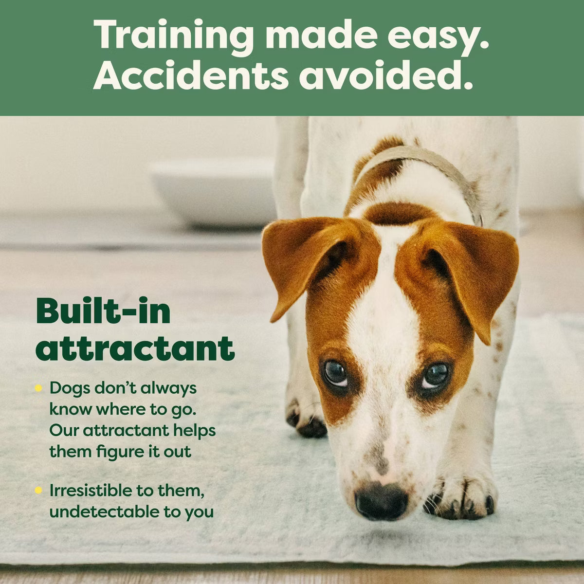 Disposable Odor Control Pet Training Pads - 30ct