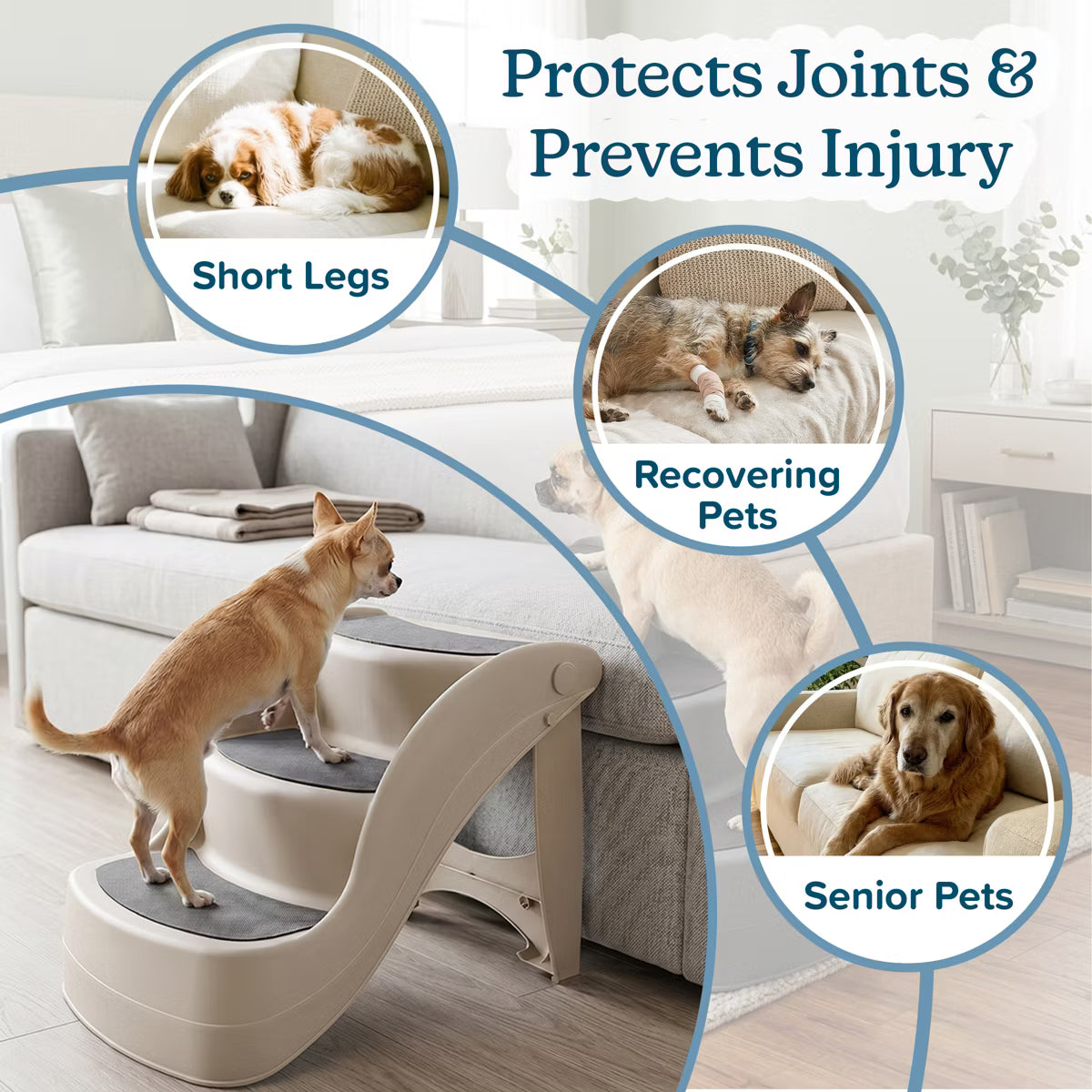 Foldable Pet Stairs for Small Dogs & Cats