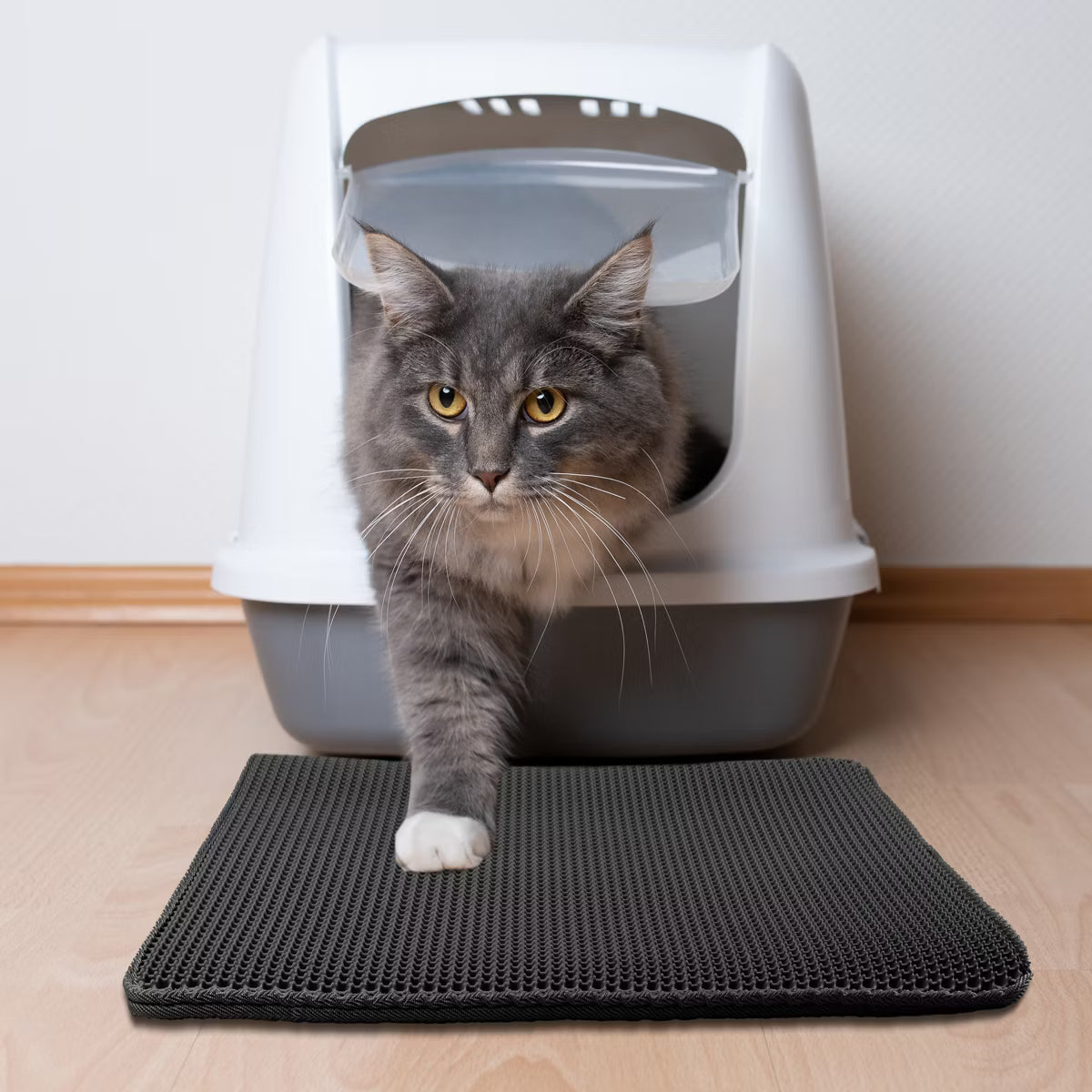 Waterproof Cat Litter Mat Black