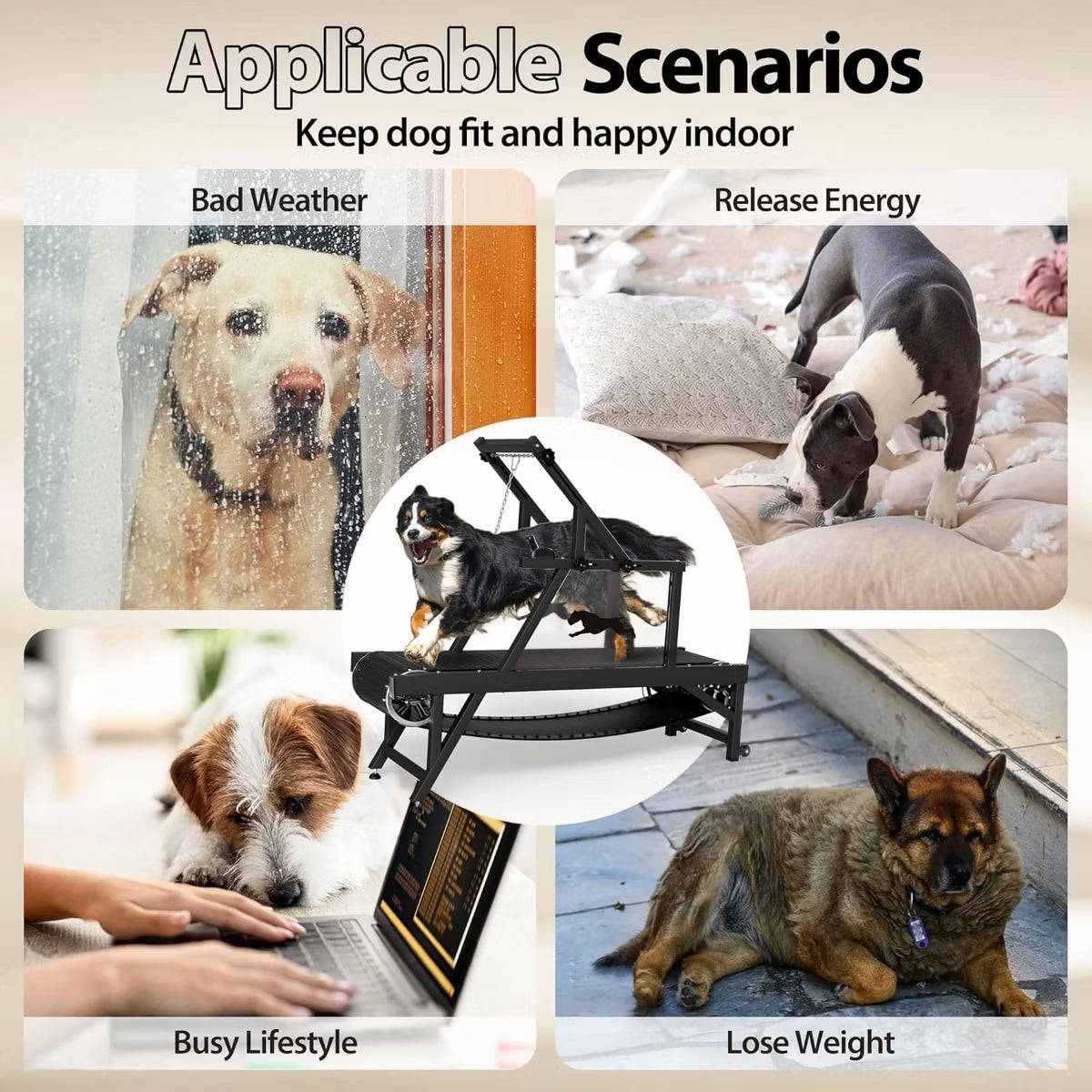 Dog Slat Mill Treadmill for Medium Dogs