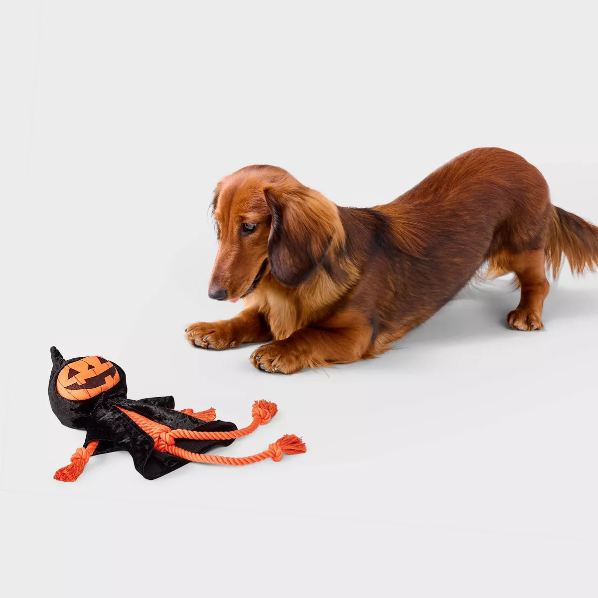 18" Rope Body Dog Toy